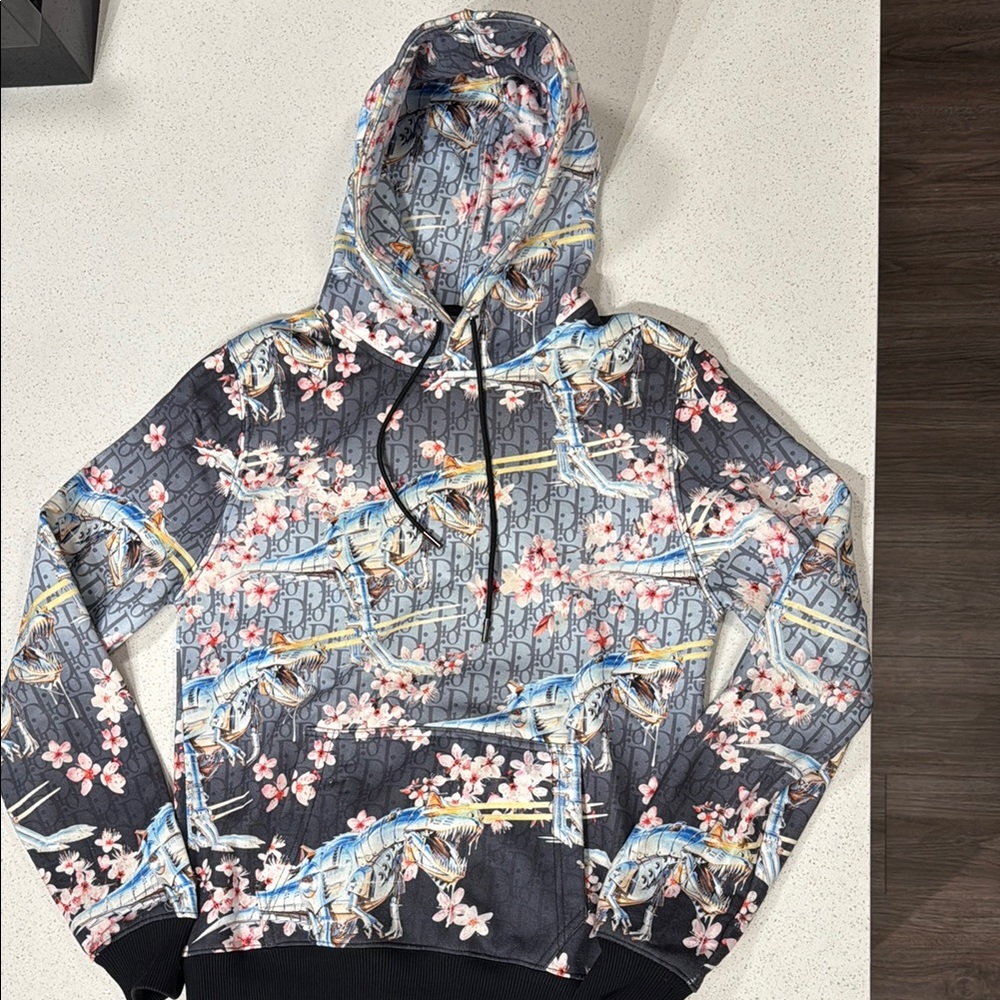 DIOR SORAYAMA DINOSAUR HOODED SWEATSHIRT